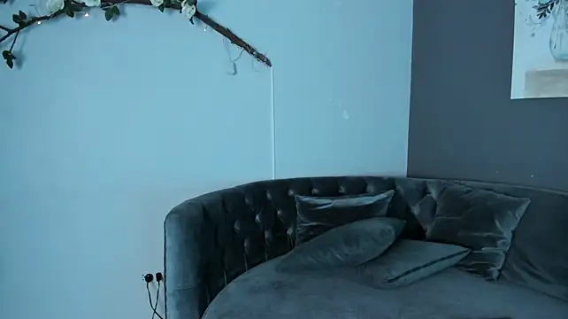 charlotte_mitchell_ webcam