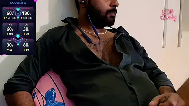 Silvershadde webcam