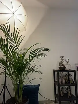 krysstal003 webcam