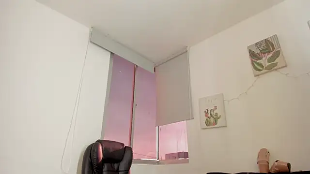 barbie_ds webcam
