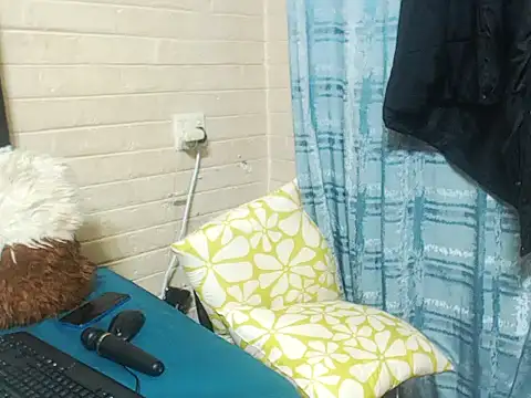 BaselBlues webcam