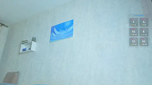 tailer_ webcam