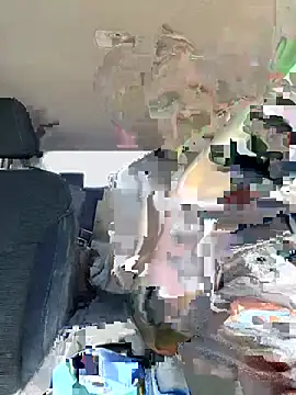alh417 webcam