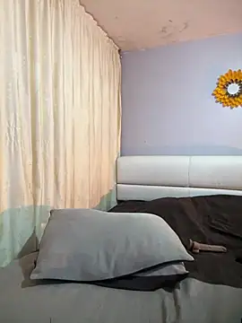 Freyja_soh webcam