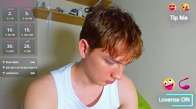 Fox_Prince_ webcam