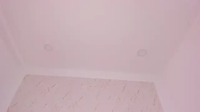 DakkotaFox webcam