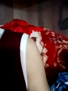 Wipes_9x live cam preview