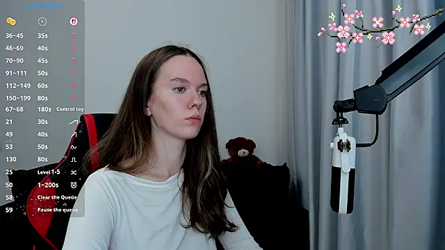 Vulgar_Tamer