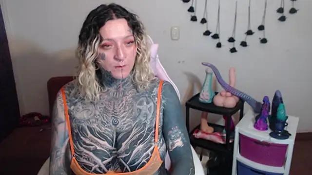 SLOPPYTITSS webcam