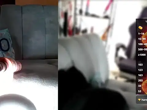 ZafiroSolenne live cam preview