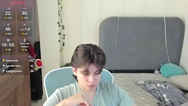 FelixSoft