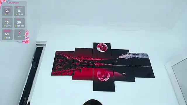 MAILYN_ER webcam