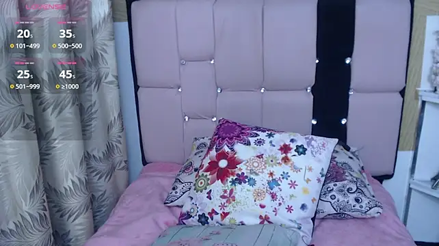 palmer_mIix webcam