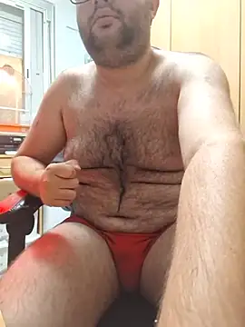 Javier_bear