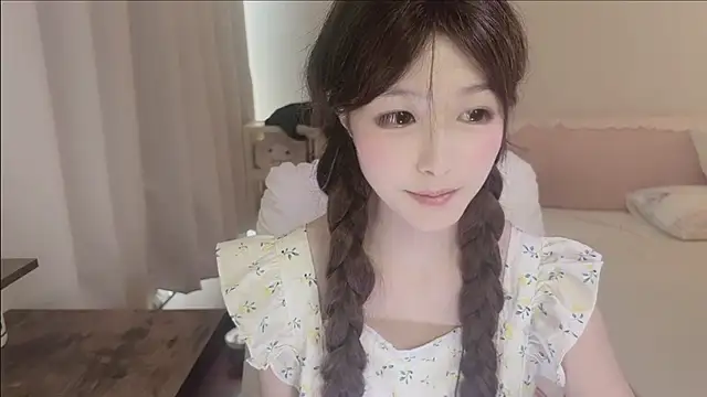 LL-66 webcam