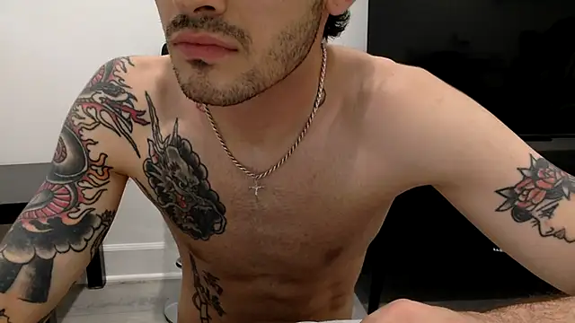 Sinnas webcam