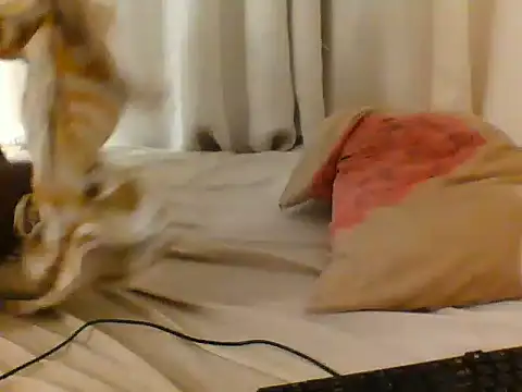 Goldy_petite