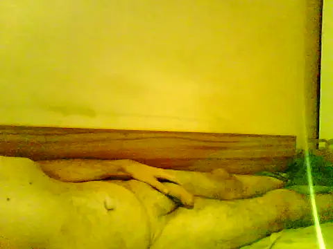 tonkisa webcam