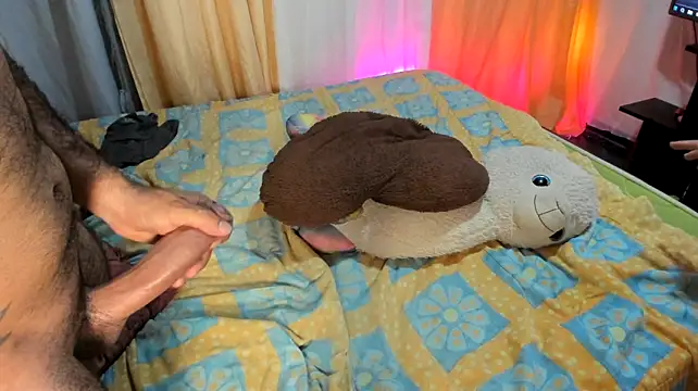 6_bunny_9 webcam