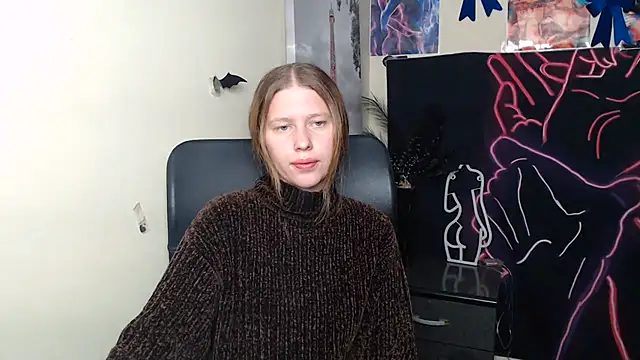 StellaCRL webcam
