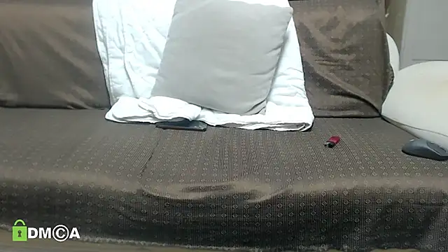 LiONTURK webcam