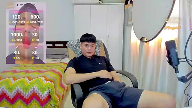 clarkdangerous webcam