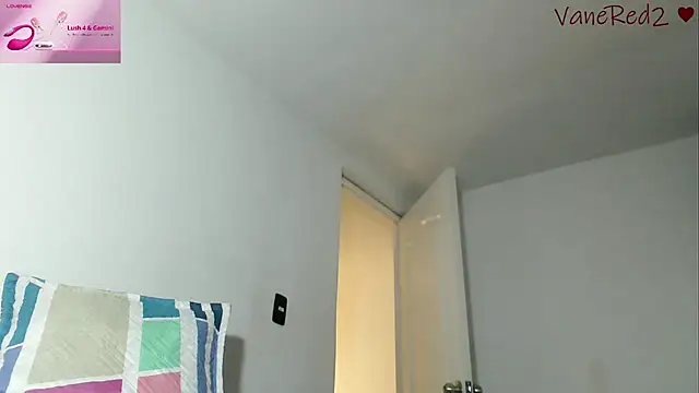 vanered2 webcam