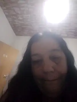 catdool webcam