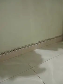 aiai220 webcam