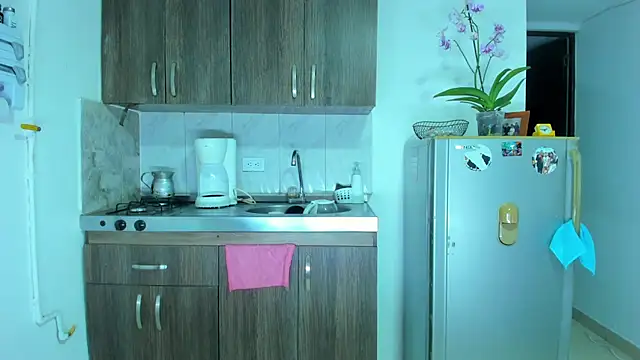 teresasroom_ webcam