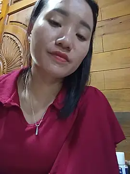 Td3di webcam