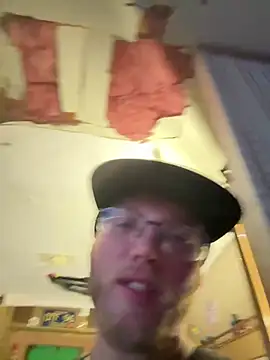 Silusgrai webcam