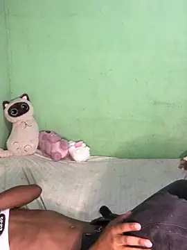 Evans_Femb webcam