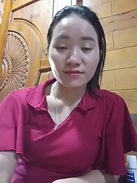Td3di webcam