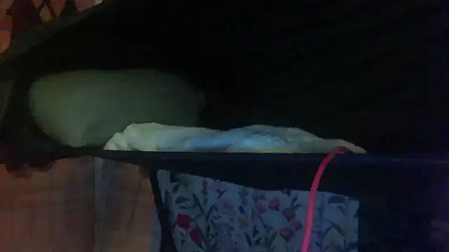 her4life webcam