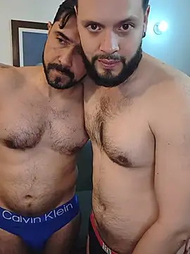 TonyAndTroy webcam