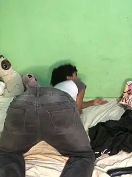 Evans_Femb webcam