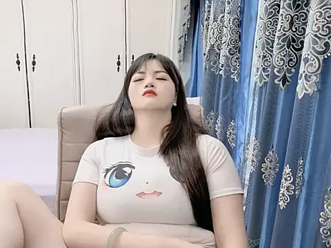 sjsibi webcam