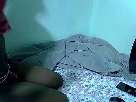 lainearia webcam