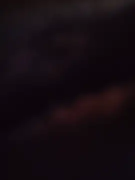 babybearbbc