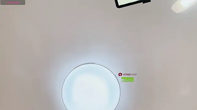 ice1-1e webcam