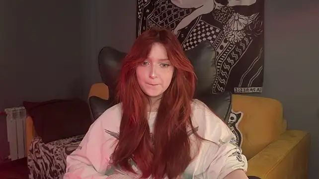 BellaSink webcam
