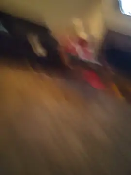 babybearbbc webcam