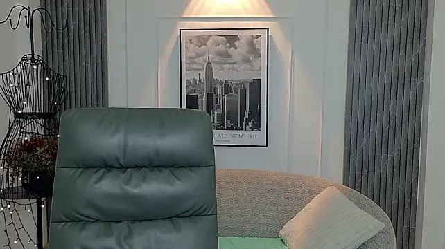 auravg webcam