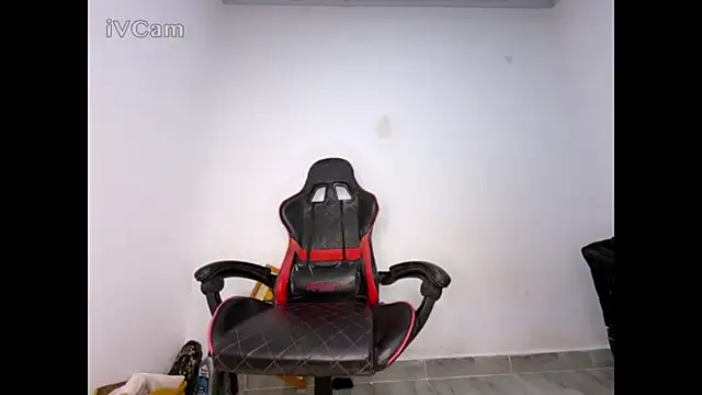blessed-cock webcam