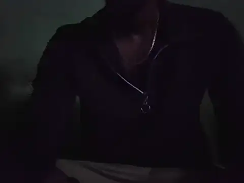 TNsouthmodel webcam