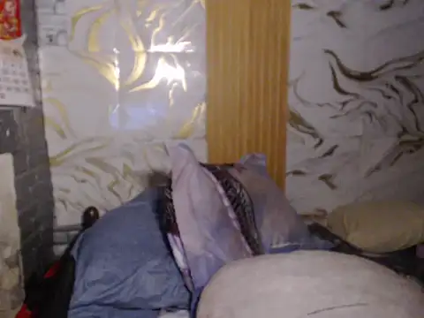 tikini_oishi webcam
