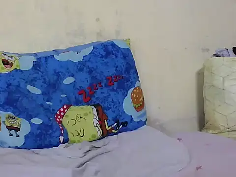 saraswee webcam