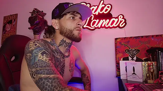 Drako_liveshow webcam