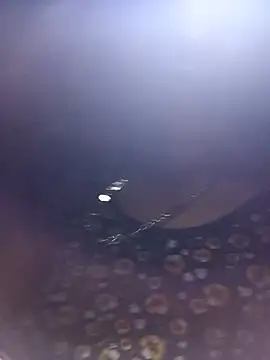 Bella-Camel webcam